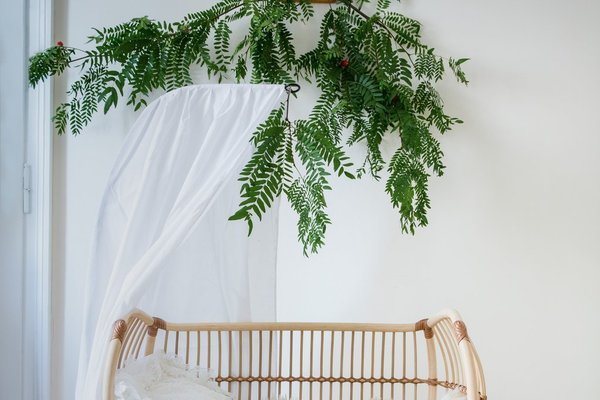 Bermbach Organic Cotton Bed Canopy THEO