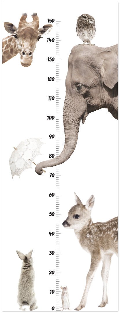 Wall Stickers Growth Measure `I love animals`